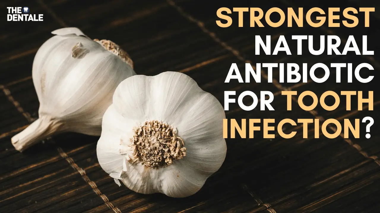Garlic is the natural antibiotic for tooth infection. What is the Strongest Natural Antibiotic for Tooth Infection